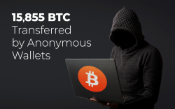 15,855 Bitcoins Transferred by Anonymous Wallets – Are Whales Accumulating?